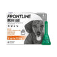 FRONTLINE Plus Flea & Tick Treatment for Small Dogs 6 Pipettes