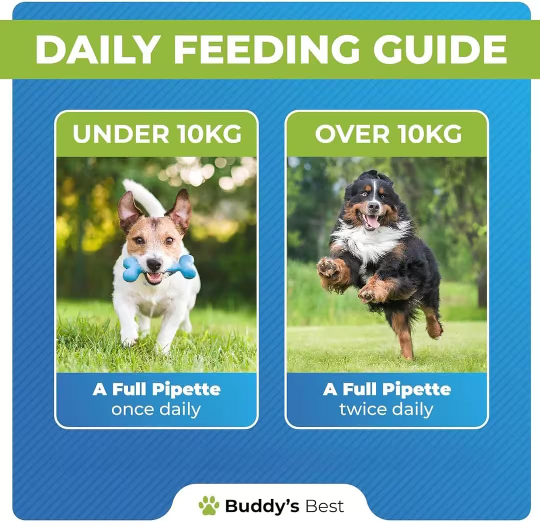 Buddy’s Best Complete Joint Care Liquid for Dogs 50ml – Made in UK