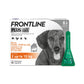 FRONTLINE Plus Flea & Tick Treatment for Small Dogs 6 Pipettes