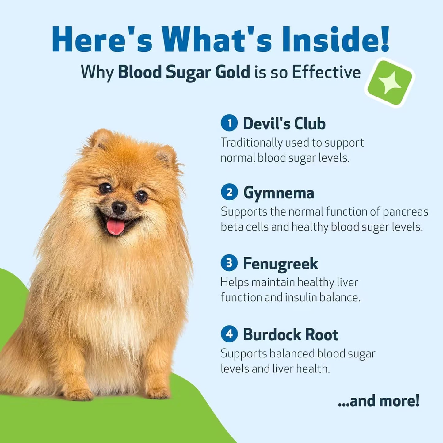 Pet Wellbeing Blood Sugar Gold for Dogs – Herbal Liquid Formula