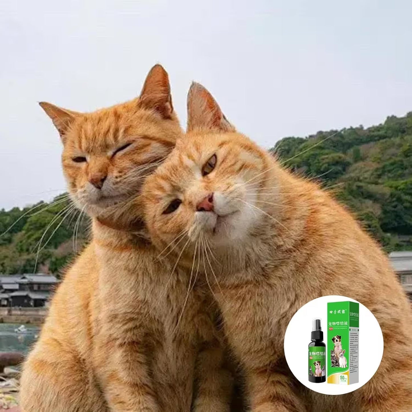 Calming Spray for Dogs & Cats 50ml – Behaviour Support Spray