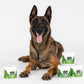 NutriPaw Calming Treats for Dogs