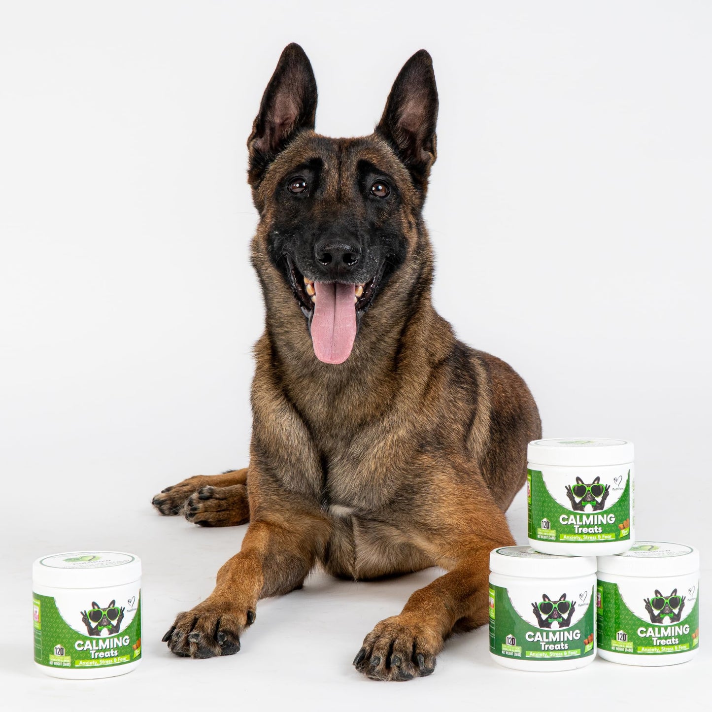 NutriPaw Calming Treats for Dogs