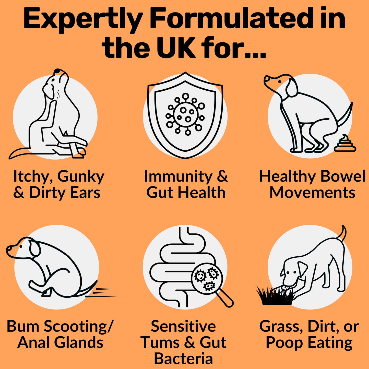 NutriPaw Pre, Pro & Postbiotic Digestive Treats for Dogs