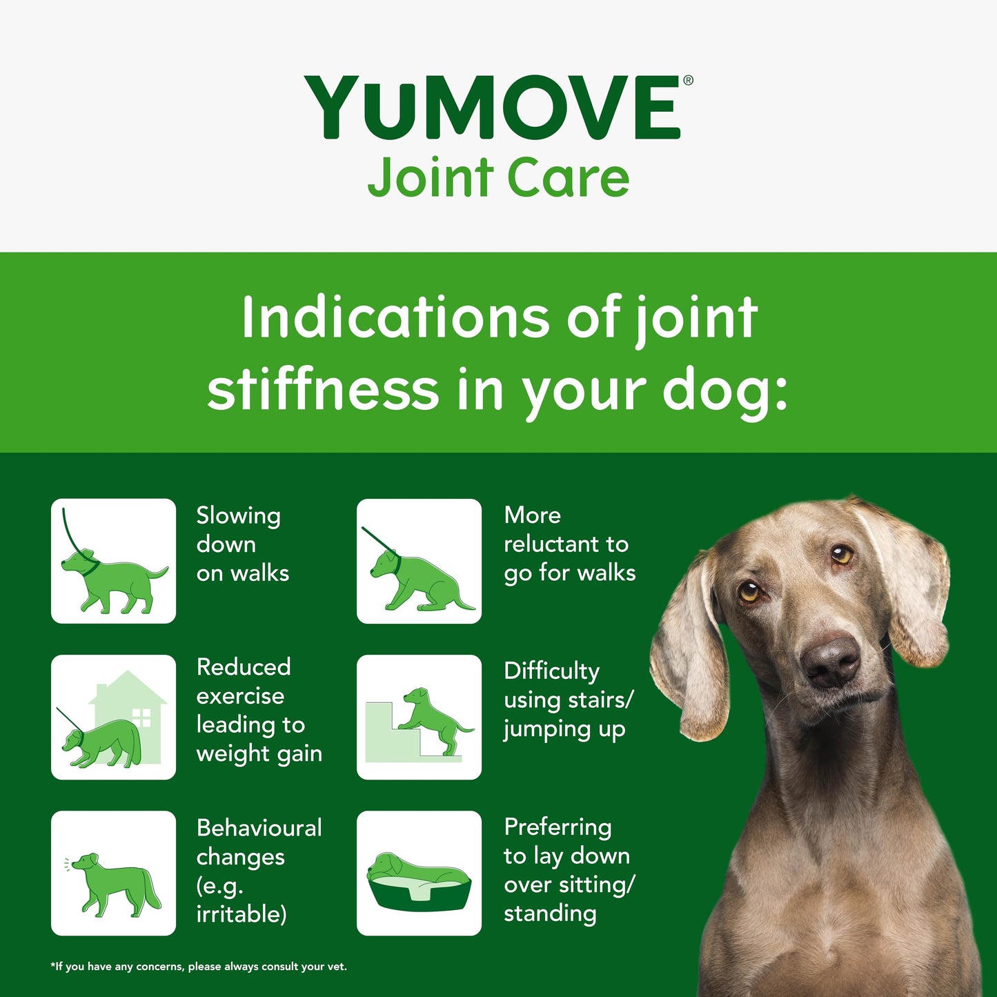 Lintbells YuMOVE Senior Dog Joint Support 240 Tablets