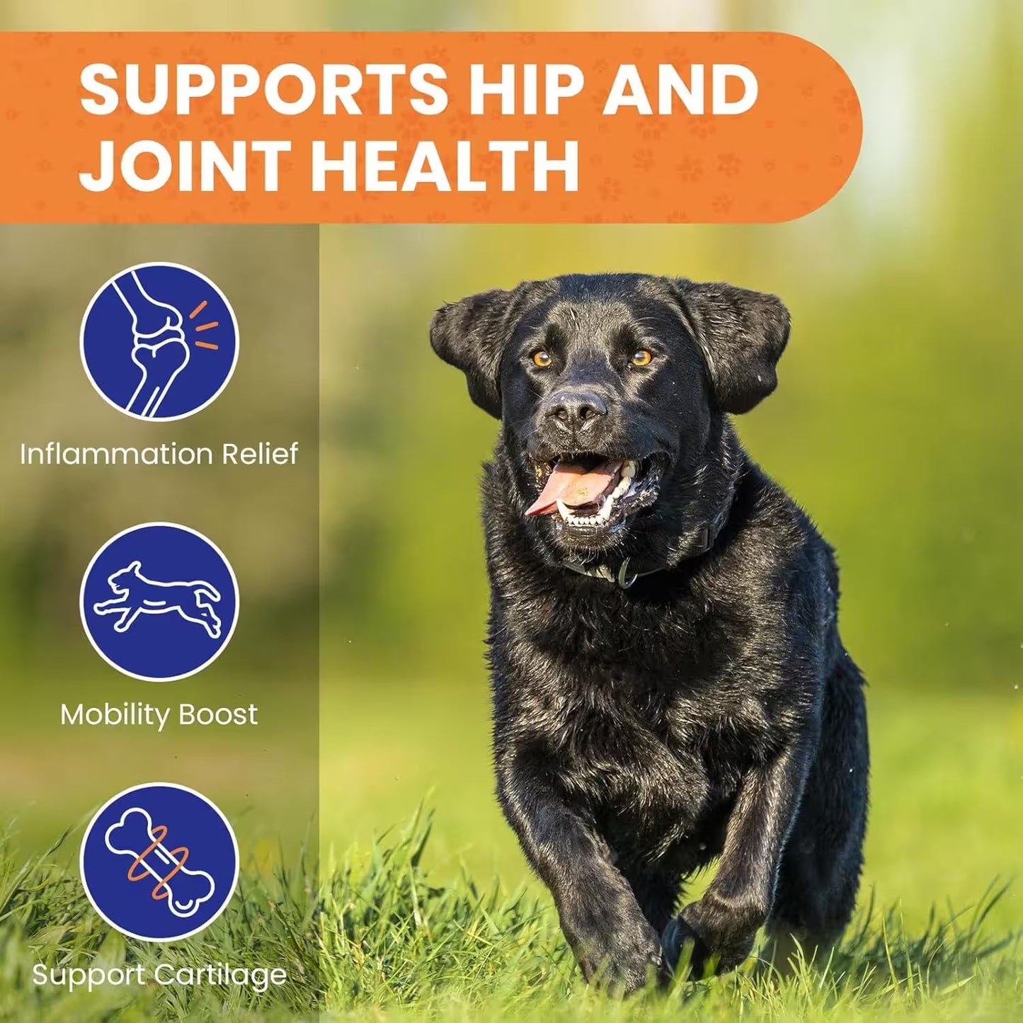 Hemp Calming Dog Treats 150 Count – Natural Calming Support for Dogs