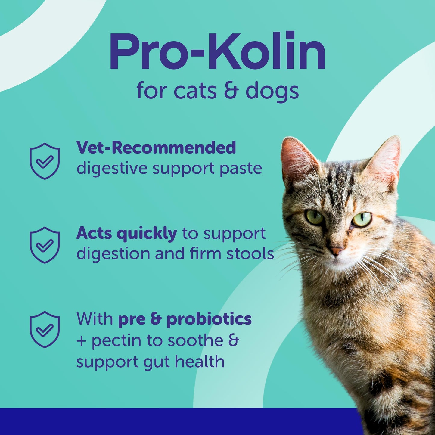 Protexin Pro-Kolin Paste 60ml Syringe