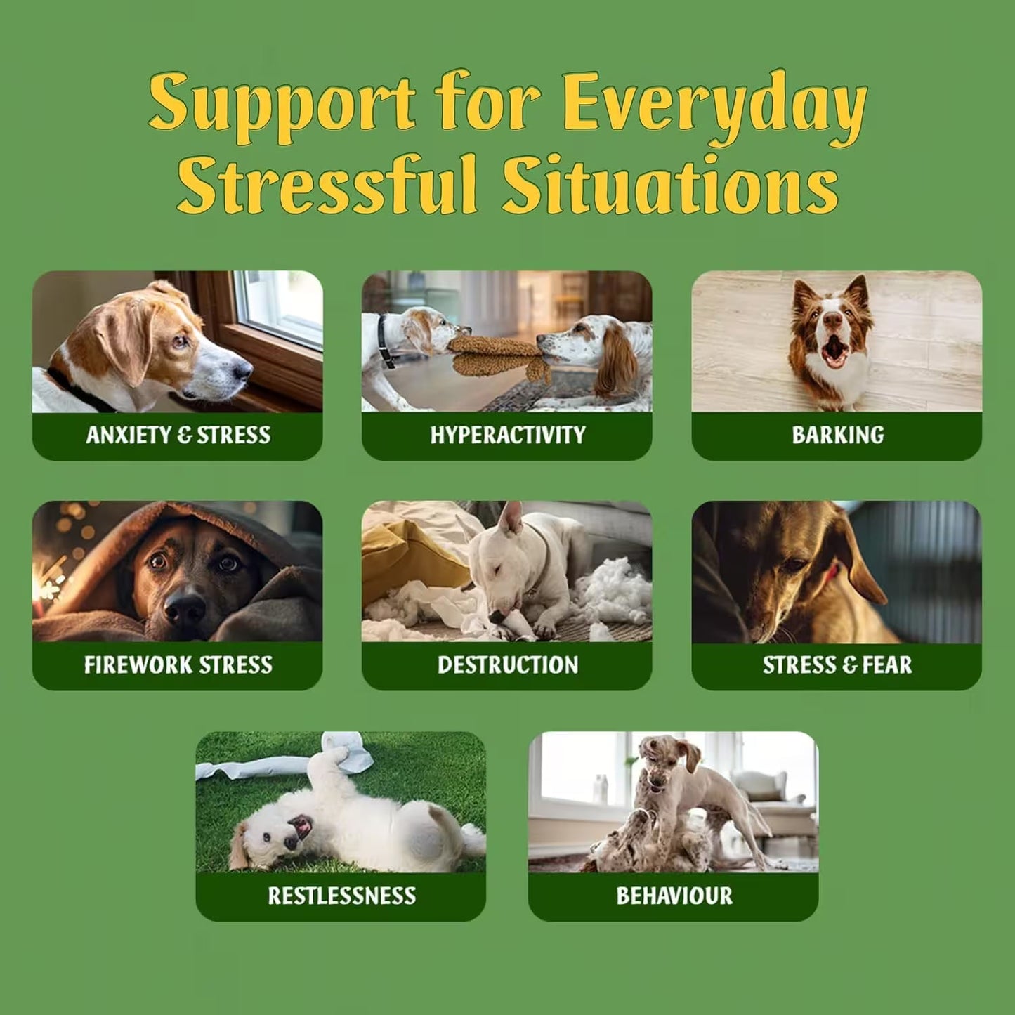 Herbal Hush Calming Tablets for Dogs 200 Count – Scullcap, Valerian & L-Theanine