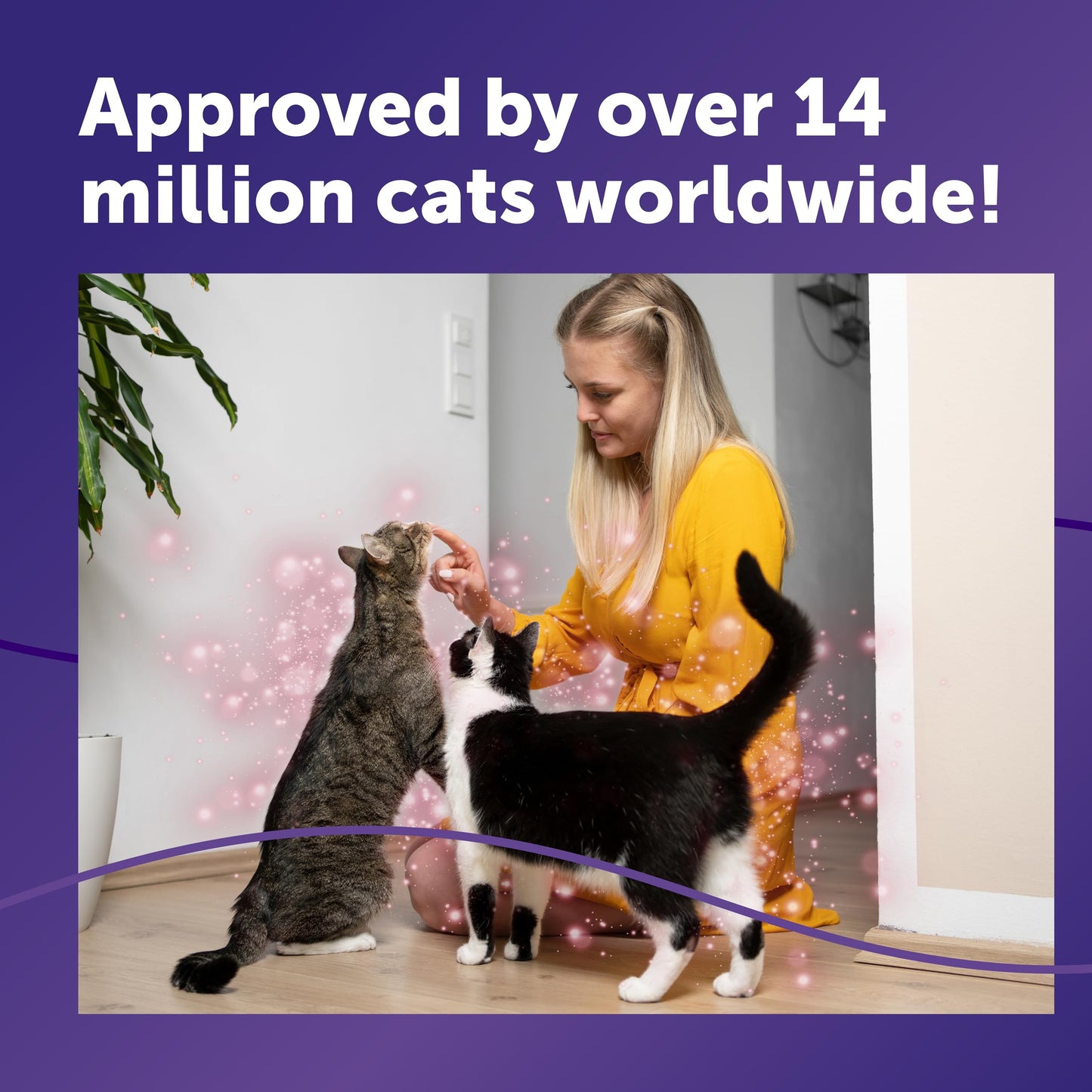 FELIWAY Friends Cat Calming Refills 3 x 48ml