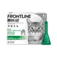 FRONTLINE Plus Flea & Tick Treatment for Cats & Ferrets 6 Pipettes