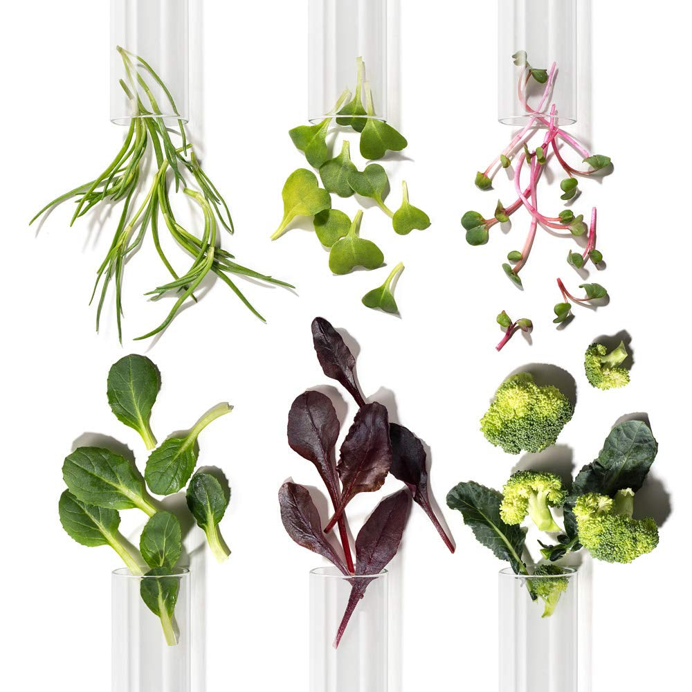 CH6 Scalp SSAG Serum 140ml