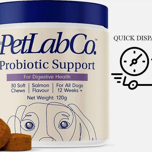 Petlab Co Probiotic Dog Chews Gut Health Support Treats Stop Itchy Skin & Yeast