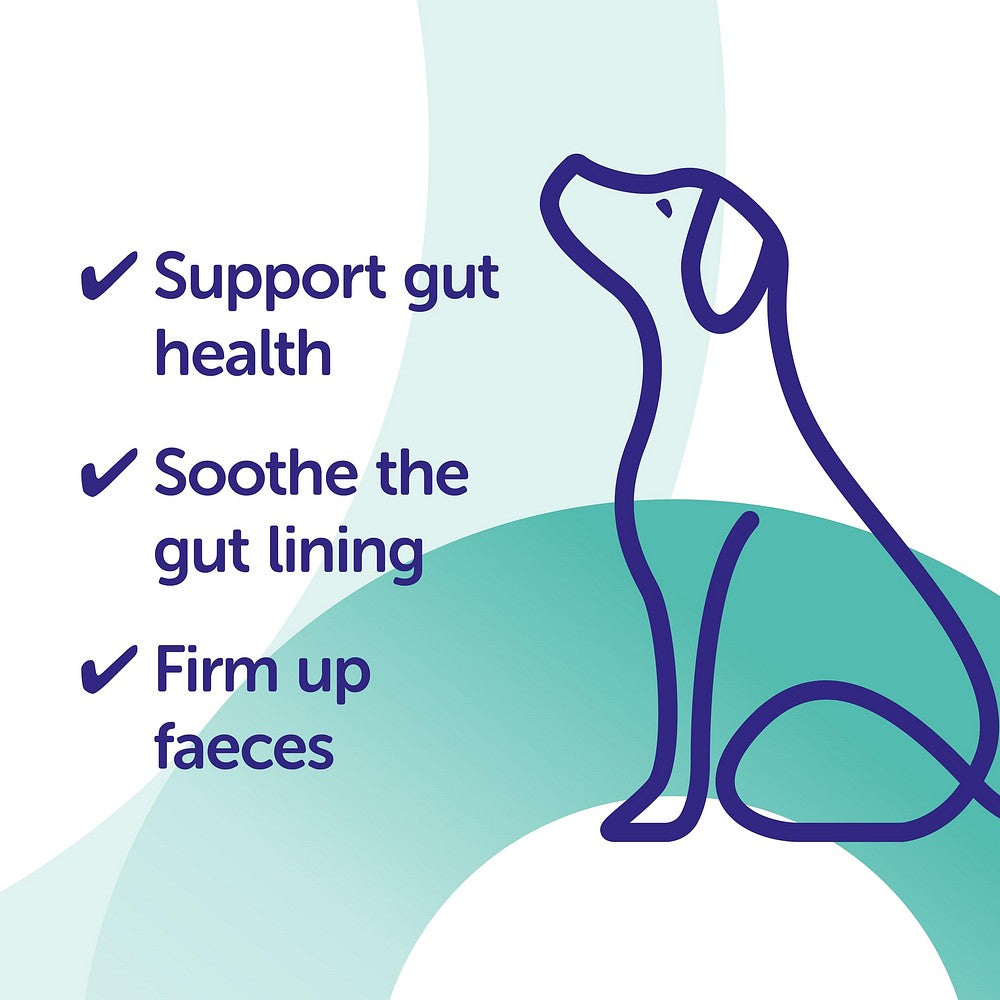 Protexin Veterinary Pro-Kolin Advanced for Dogs Advanced for Dogs, 60 ml